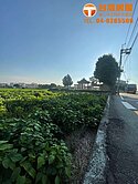 埔鹽㊣埔打路丁建角地
