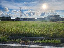 阿蓮區稀有合法資材室+ 千坪臨路優質農地