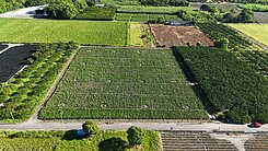 🏵️花蓮瑞穗鄉瑞穗段8.8分大面寬臨路農地🏵️