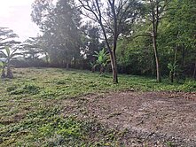 台中太平北田路農牧用地