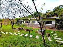 坪林水德山莊櫻花林