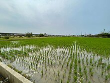 新屋方正農地~近61快速道路~一般農
