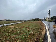 🌳新屋大面寬低總價農地✨雙面臨路