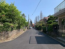 中央大學綠蔭獨棟別墅 - 183大地坪