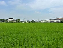 👁️好屋留意中👁️低於行情！臨路農地(持分)