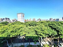 公園思賢學區頂樓邊間四面視野 近幸福捷運站 生活佳