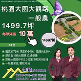 桃園大園大觀路一般農 傑穎房仲 新豐湖口土地