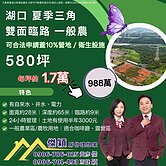 夏季三角旁投資一般農 傑穎房仲 新豐湖口土地