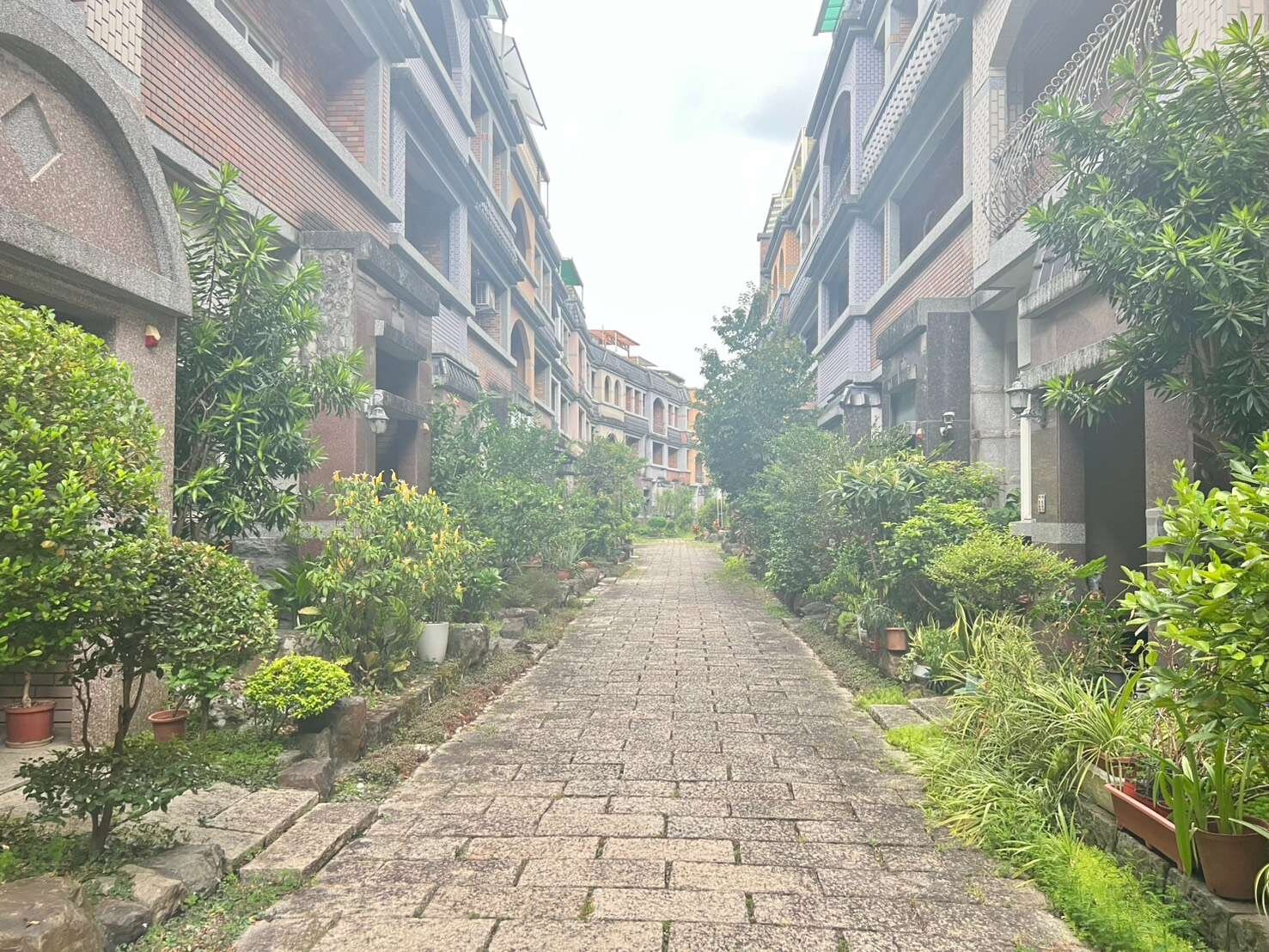 封面圖
