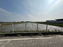 彰化埔鹽鄉和平段美農地-1