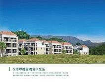 海德堡莊園四房雙車臨路雙併別墅💎