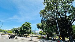 東區平實公園💖「艾美新時代」全新2房平車