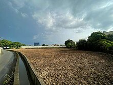 ❤️☞八德茄苳路旁一般農☜❤️