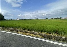 🌾新屋前後路美農地