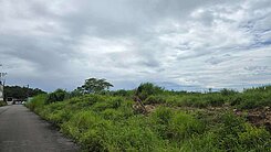 💛彎彎推薦💛近台31稀有丁建