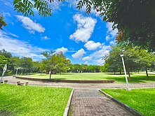 宇進獨家👍松竹雙鐵公園旁高CP值次頂樓電梯套房