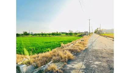 太保市政路旁雙面路農地