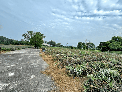 竹崎農會辦事處旁農地