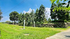 竹崎景觀休閒果園農地