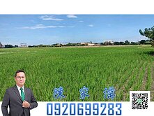 ✨阿濡推薦✨楊梅區田心段近中華南路兩千坪美田