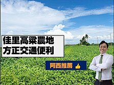 佳里低總價開心農場