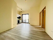 【21小羅】正楊湖路全新完工兩房兩衛