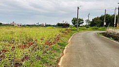 196近月桃路農地