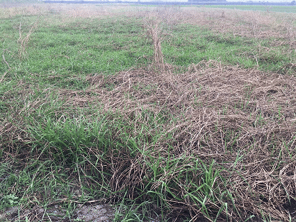 水林大山大坪數超便宜農地
