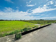 水上大崙國小旁農地