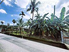 近內埔產業園區南洋風高腳屋大地坪美農地（A )