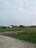 大甲超值農地(資產傳承)