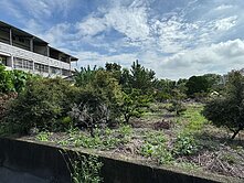 彰化｜大村｜中正路旁臨路🔶方正美農地