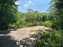 老王快遞--龍潭高平段平坦農地