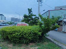 楠梓高雄大學透天