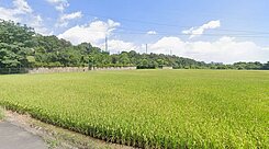 大溪仁和路66快速路一般農地