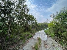 🔥專約台南最俗土地🔥台南東山大地坪低總價山坡地