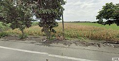 東勢東西段近快速道路大面寬足坪農地