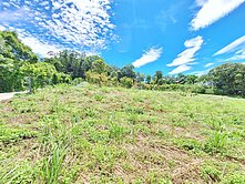 🌸破盤價！誠售三芝北新庄子段農牧用地｜內含丙建A