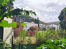 近南崁交流道建地附建照93