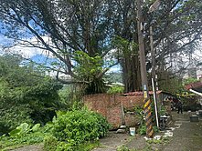 誠意出售-四腳亭近車站乙建用地