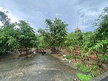 大社金寶塔休閒聖地美農地