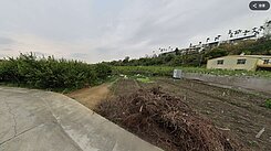 專任~東勢優質低總價農地