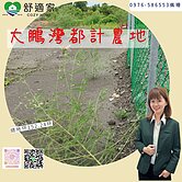 大鵬灣都計農地