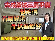 大林新城景觀三房平車