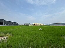 🌟城2-3方正大面寬農牧地🌟