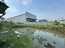 🌟城2-3方正大面寬農牧地🌟