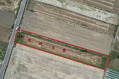 免整地、一般農、近省道、出價即談