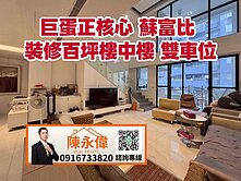 巨蛋正核心 蘇富比 裝修百坪樓中樓+雙車位