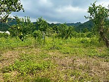 新竹關西｜臨六米路高CP值農地