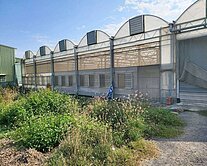 鹿草合法鋼構溫室農地